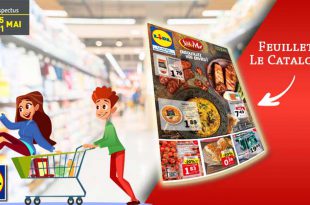 Catalogue Lidl Du 15 Au 21 Mai 2019