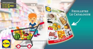 Catalogue Lidl Du 22 Au 28 Mai 2019