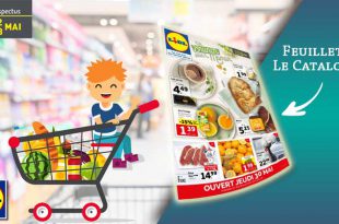 Catalogue Lidl Du 22 Au 28 Mai 2019