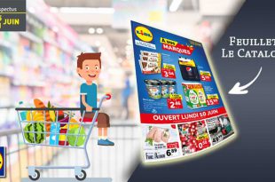 Catalogue Lidl Du 5 Au 11 Juin 2019