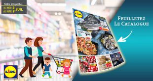 Catalogue Lidl en ligne