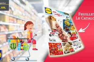 Catalogue Lidl De la semaine