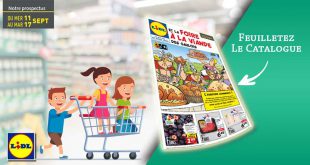 Catalogue Lidl en ligne