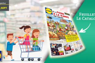 Catalogue Lidl en ligne