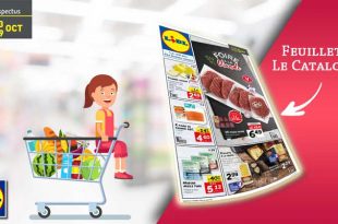 catalogue lidl en ligne
