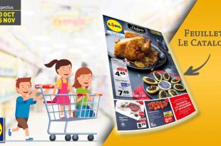 Catalogue Lidl De la semaine