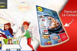 Catalogue Lidl De la semaine