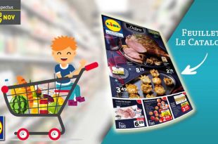 Catalogue Lidl Du 13 Au 19 Novembre 2019