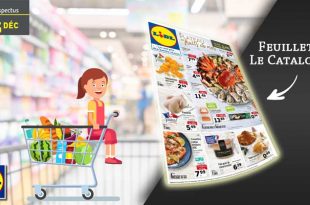 Catalogue Lidl en ligne