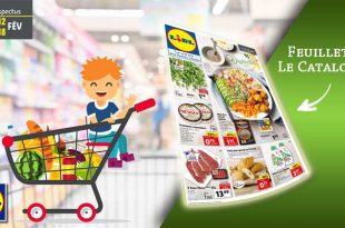 Catalogue Lidl en ligne Du 12 Au 18 Février 2020