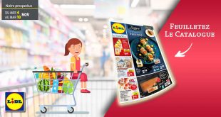 Dépliant Lidl Du 4 Au 10 Novembre 2020