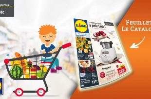 Catalogue Lidl en ligne Du 2 Au 8 Décembre 2020