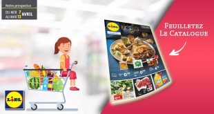 Catalogue Lidl Du 7 Au 13 Avril 2021