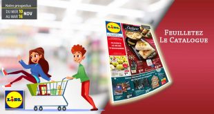 Catalogue Lidl De La Semaine Du 10 Au 16 Novembre 2021