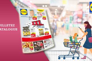 Catalogue Lidl Du 26 Octobre Au 1er Novembre 2022 en ligne