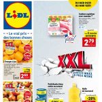 Catalogue Lidl Janvier 2023null