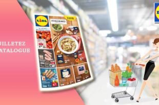 Catalogue Lidl de la semaine Du 15 Au 21 Février 2023 en ligne