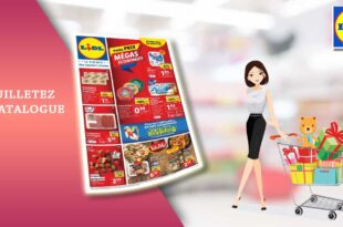 Catalogue Lidl de la semaine Du 26 Avril Au 2 Mai 2023 en ligne