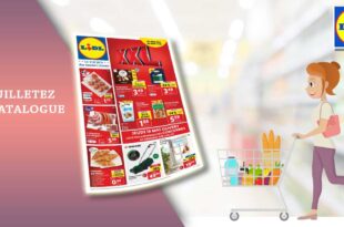Catalogue Lidl De La Semaine Du 17 Au 23 Mai 2023 en ligne