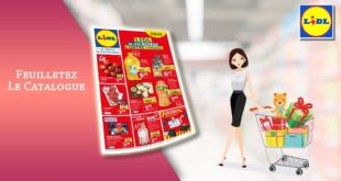 Catalogue Lidl De La semaine Du 28 Juin Au 4 Juillet 2023 en ligne