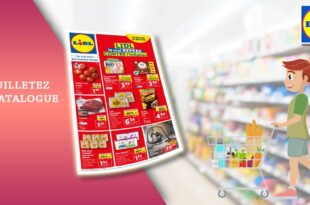 Catalogue Lidl de la semaine Du 19 Au 25 Juillet 2023 en ligne
