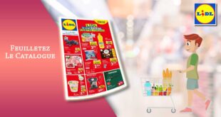 Catalogue Lidl Du 30 Août Au 5 Septembre 2023 en ligne