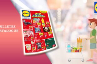 Catalogue Lidl Du 30 Août Au 5 Septembre 2023 en ligne