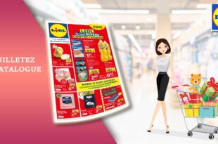 Catalogue Lidl De La Semaine Du 9 Au 15 Août 2023 en ligne