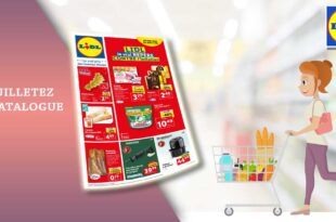 Catalogue Lidl De La Semaine Du 16 Au 22 Août 2023 en ligne