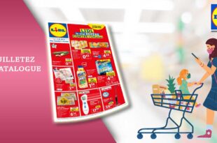 Catalogue Lidl De La Semaine Du 23 Au 29 Août 2023 en ligne