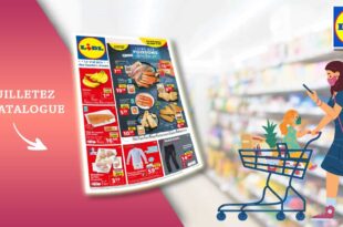Catalogue Lidl de la semaine Du 6 Au 12 Septembre 2023 en ligne