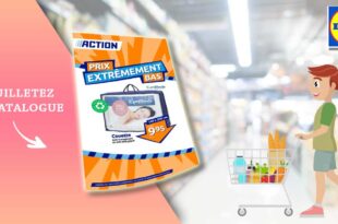 Catalogue Action de la semaine du 6 au 12 Septembre 2023 en ligne