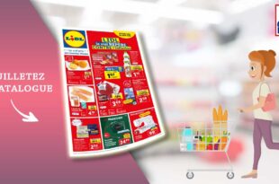 Catalogue Lidl de la semaine du 13 au 19 Septembre 2023 en ligne