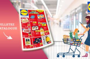Catalogue Lidl de la semaine du 20 au 26 Septembre 2023 en ligne