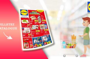 Catalogue Lidl de la semaine Du 27 Septembre Au 3 Octobre 2023 en ligne