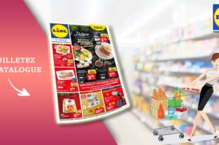 Catalogue Lidl de la semaine Du 1er Au 7 Novembre 2023 en ligne
