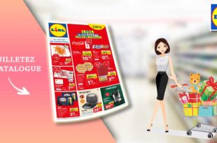 Catalogue Lidl De La Semaine Du 11 Au 17 Octobre 2023 en ligne