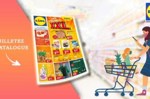 Catalogue Lidl de la semaine Du 25 Au 31 Octobre 2023 en ligne