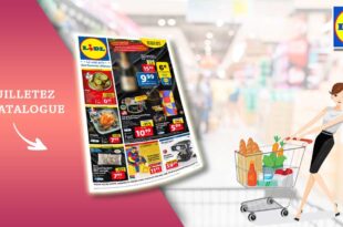 Catalogue Lidl de la semaine Du 13 Au 19 Décembre 2023 en ligne