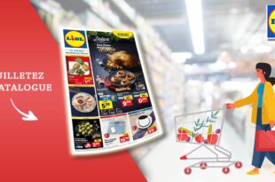 Catalogue Lidl de la semaine Du 20 Au 26 Décembre 2023 en ligne