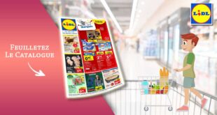 Catalogue Lidl de la semaine Du 24 Au 30 Janvier 2024 en ligne