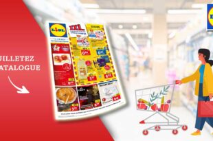 Catalogue Lidl de la semaine Du 3 Au 9 Janvier 2024 en ligne