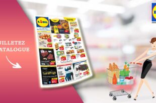 Catalogue Lidl De La Semaine Du 6 Au 12 Mars 2024 en ligne