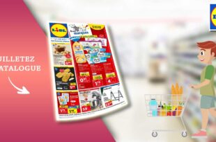 Catalogue Lidl De La Semaine Du 21 Au 27 Février 2024 en ligne