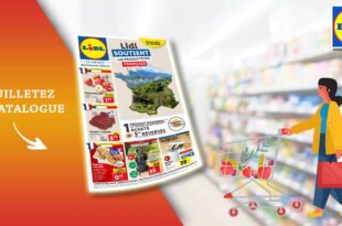 Catalogue Lidl de la semaine Du 28 Février Au 5 Mars 2024 en ligne