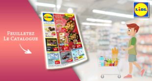 Catalogue Lidl de la semaine Du 7 Au 13 Février 2024 en ligne