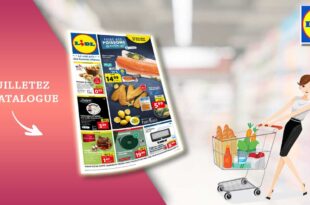 Catalogue Lidl de la semaine Du 20 Au 26 Mars 2024 en ligne