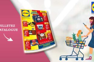 Catalogue Lidl de la semaine Du 8 Au 14 Mai 2024 en ligne