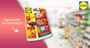 Catalogue Lidl De La Semaine Du 15 Au 21 Mai 2024 een ligne