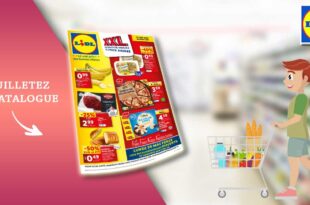 Catalogue Lidl De La Semaine Du 15 Au 21 Mai 2024 een ligne